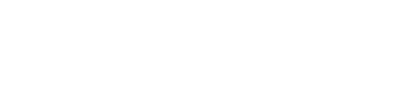 NetPeak Solutions